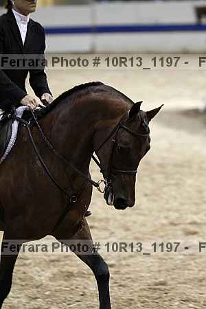 Proof 10r13_1197