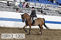10r13_1202 proof
