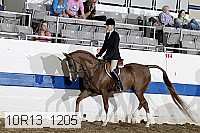 10r13_1205 proof
