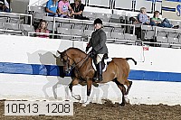 10r13_1208 proof