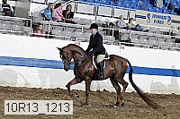 10r13_1213 proof