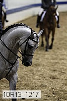 10r13_1217 proof