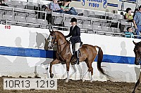 10r13_1219 proof