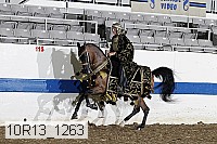 10r13_1263 proof