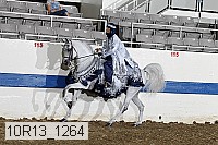 10r13_1264 proof