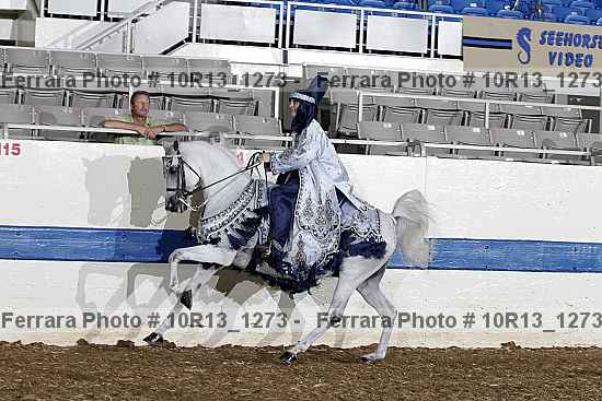 Proof 10r13_1273