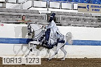 10r13_1273 proof