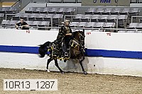 10r13_1287 proof