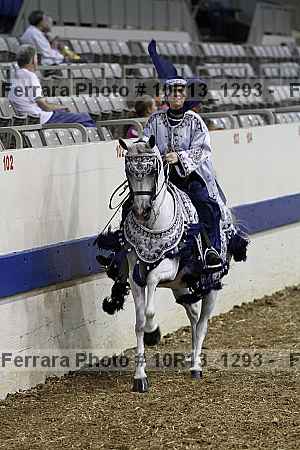 Proof 10r13_1293