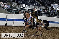 10r13_1302 proof