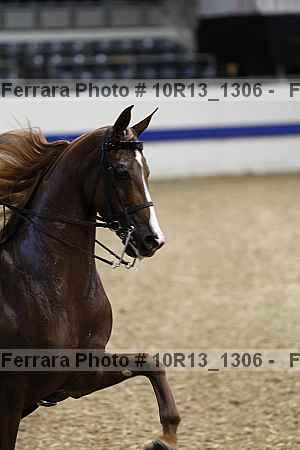 Proof 10r13_1306