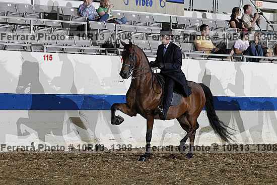 Proof 10r13_1308