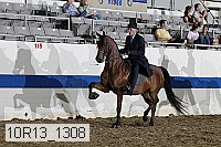 10r13_1308 proof
