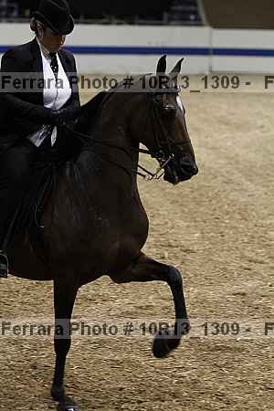 Proof 10r13_1309