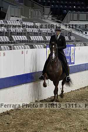 Proof 10r13_1311