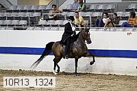 10r13_1324 proof