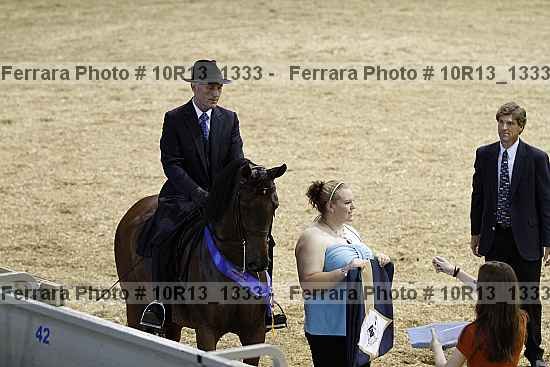 Proof 10r13_1333