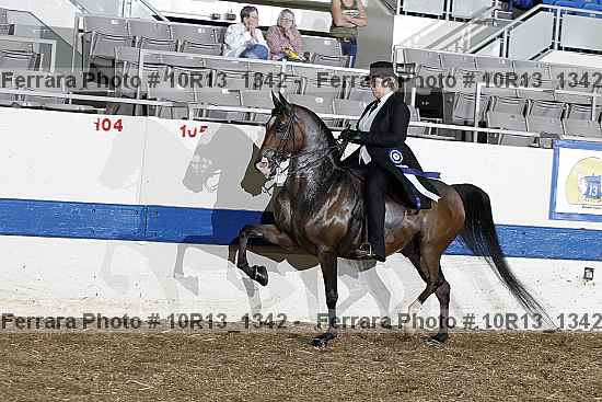 Proof 10r13_1342