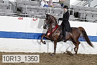 10r13_1350 proof