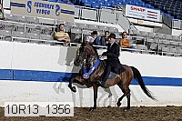 10r13_1356 proof