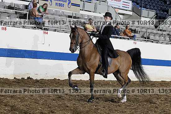 Proof 10r13_1363