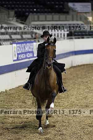 Proof 10r13_1375