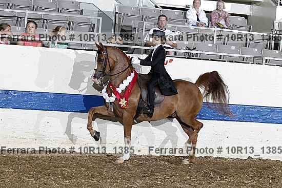 Proof 10r13_1385