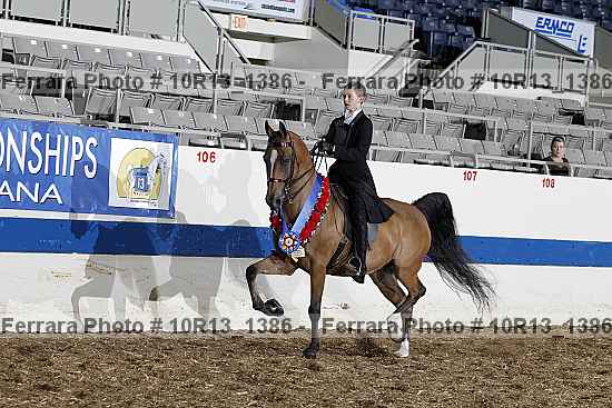 Proof 10r13_1386
