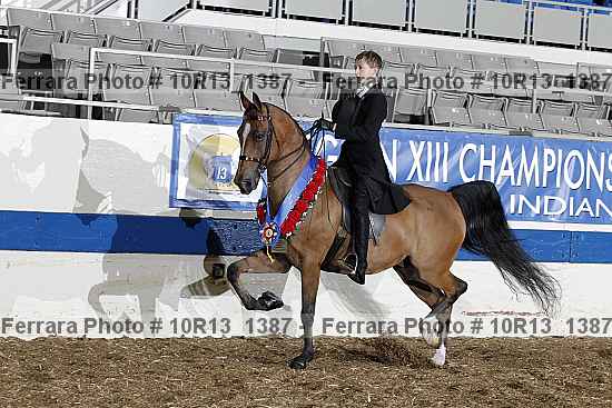 Proof 10r13_1387