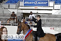 10r13_1388 proof