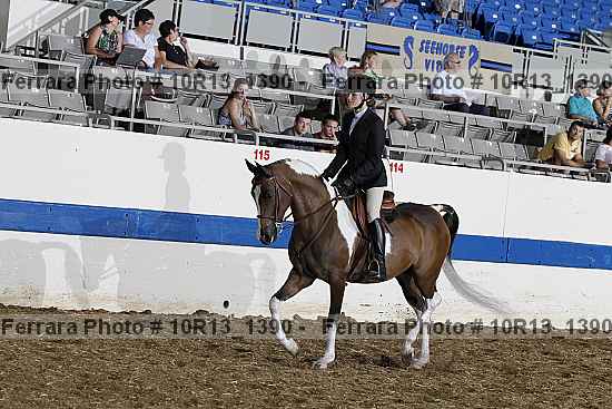 Proof 10r13_1390