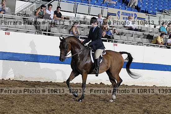 Proof 10r13_1393