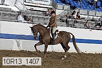 10r13_1407 proof