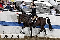 10r13_1411 proof