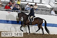 10r13_1416 proof
