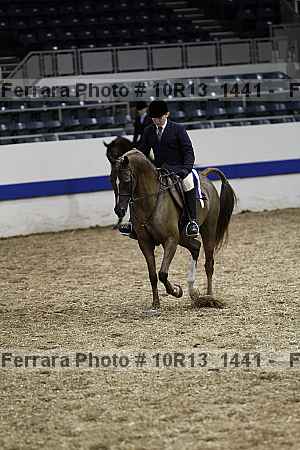 Proof 10r13_1441