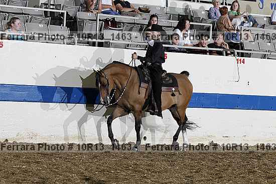 Proof 10r13_1463