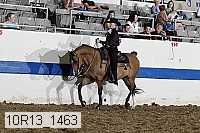 10r13_1463 proof