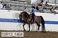 10r13_1464 proof