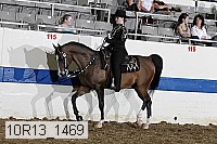 10r13_1469 proof