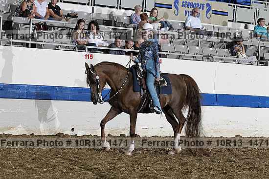 Proof 10r13_1471
