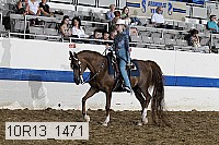 10r13_1471 proof