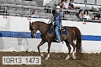 10r13_1473 proof