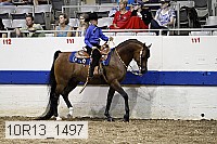 10r13_1497 proof