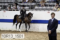 10r13_1501 proof