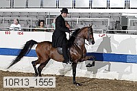 10r13_1555 proof