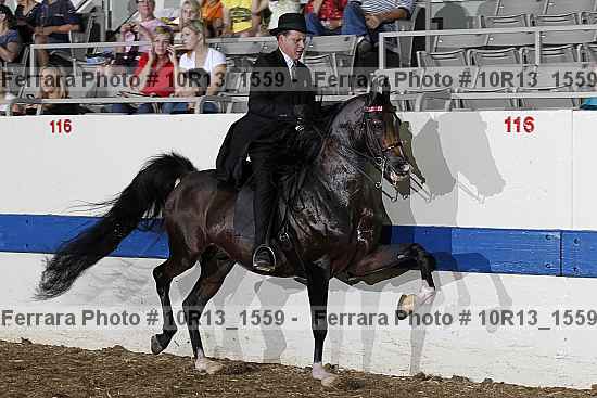 Proof 10r13_1559