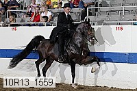 10r13_1559 proof