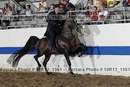 Proof 10r13_1561