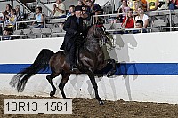 10r13_1561 proof